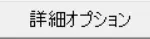 詳細オプション