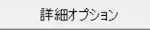 詳細オプション