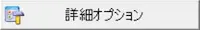 詳細オプション